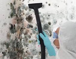 Best Air Quality Testing for Mold Spores  in Kaukauna, WI